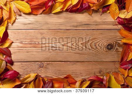 Sfondo autunno