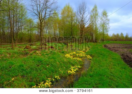 Paesaggio primaverile