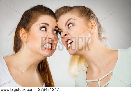 Two Agressive Women Having Argue Fight Being Mad At Each Other. Female Violance Concept.