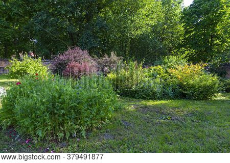 Summer Garden In The Stone Walls In Palace And Park Ensemble In Village Samchyky. Khmelnytsky Region