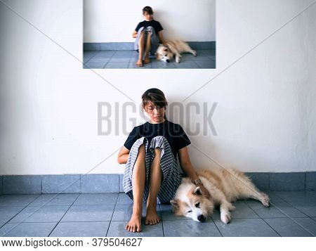 The Absract Artdesign Background Of Stressed Woman Sitting Beside Her Dog On Ground Floor,blur Motio