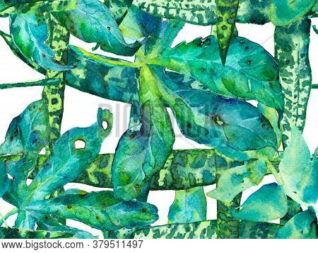 Vintage Eco Rapport.  Green And Aqua Menthe Exotic Swimwear Design. Hawaii Aquarelle Print. Summer F