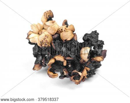 Burnt popcorn kernel isolated over white background