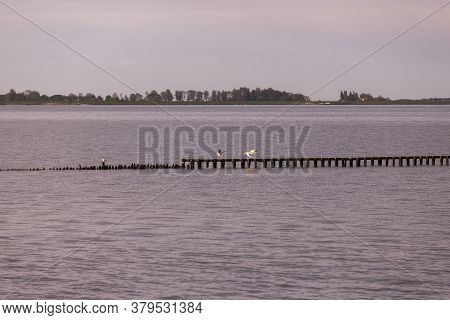 Breakwater Entering The Sea On A Beach In Hindeloopen In Holland.