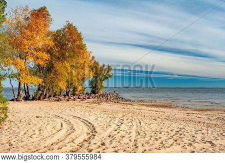 Yellowed Trees And Textured Sand On The Beach On Shore Of Dnieper River In Cherkasy, Ukraine At Autu