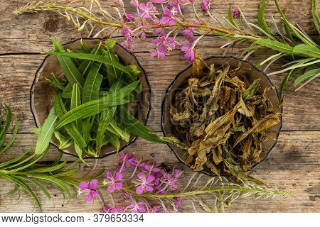 Dry And Green Leaves Of Ivan Tea. Fireweed Flowers Concept On Rustic Wooden Board. Raw Materials For