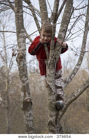 Ragazzo nella struttura ad albero