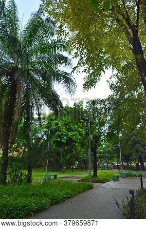 Manila, Ph - Nov 24 - Mehan Garden Outdoor Park On November 24, 2018 In Manila, Philippines.
