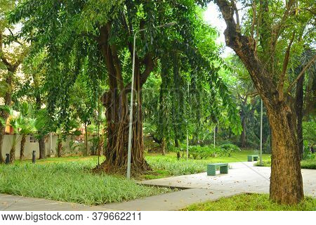 Manila, Ph - Nov 24 - Mehan Garden Outdoor Park On November 24, 2018 In Manila, Philippines.