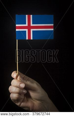 Hand With Small Flag Of State Of Iceland