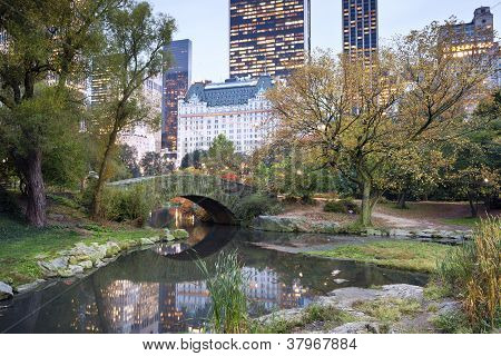 Central Park et Manhattan Skyline.