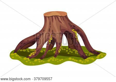 Stump Or Tree Stub With Roots Covered With Green Moss As Forest Element Vector Illustration