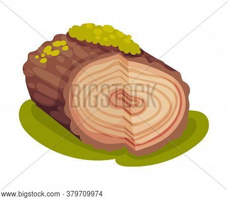 Log Covered With Green Moss As Forest Element Vector Illustration