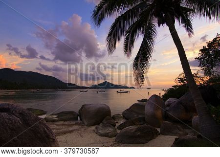 Sunset With Palm And Longtail Boats On Tropical Beach. Ko Tao Island, Thailand