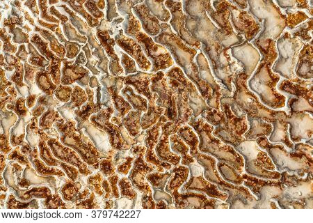 The Surface Of The Limestone In The Form Of Intricate Patterns. The Texture Is Made By Flowing Water
