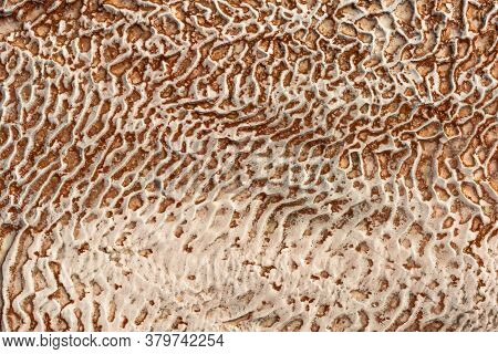 The Surface Of The Limestone In The Form Of Intricate Patterns. The Texture Is Made By Flowing Water