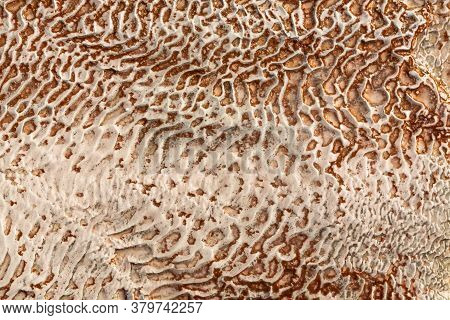 The Surface Of The Limestone In The Form Of Intricate Patterns. The Texture Is Made By Flowing Water