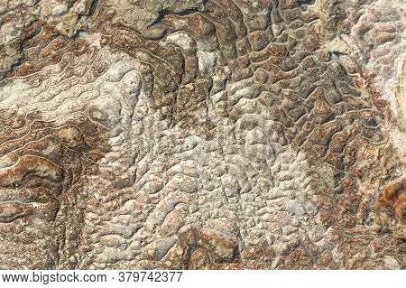 The Surface Of The Limestone In The Form Of Intricate Patterns. The Texture Is Made By Flowing Water