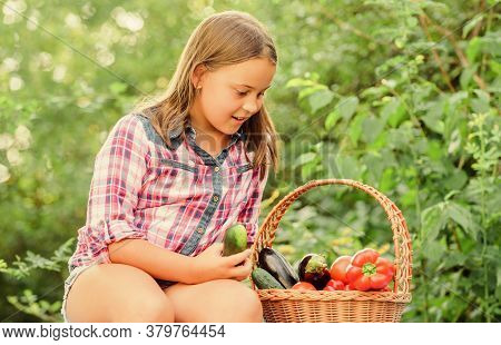 So Tasty. Little Girl Vegetable In Basket. Only Natural. Healthy Food For Children. Kid On Summer Fa
