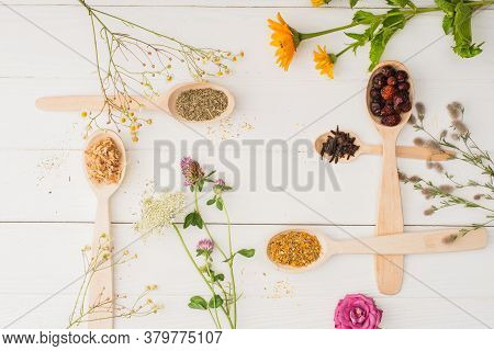 Top View Of Herbs In Spoons And Flowers On White Wooden Background, Naturopathy Concept