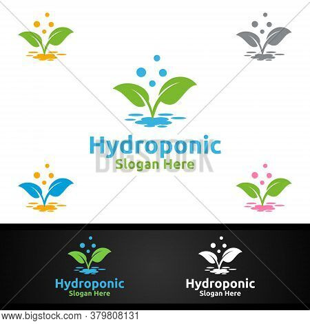 Water Hydroponic Gardener Logo With Green Garden Environment Or Botanical Agriculture Design