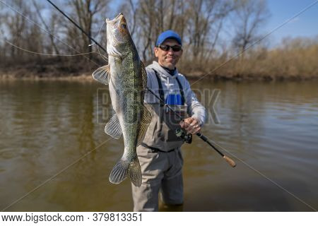 Happy Fisherman With Zander Fish. Success Walleye Fishing At Wild River