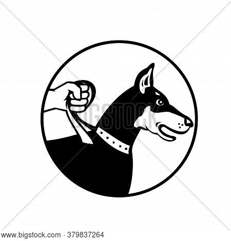 Retro Style Illustration Of A Hand Holding Dobermann Doberman Pinscher Or Dobie, A Medium-large Bree