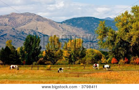 Front Range Colorado