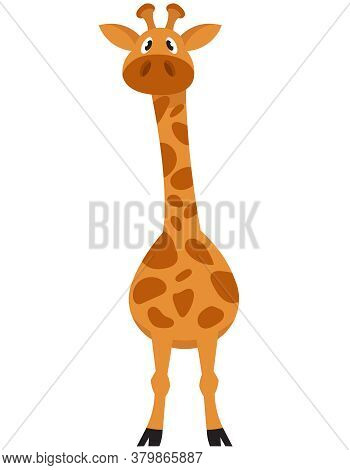 Standing Giraffe Front View. African Animal In Cartoon Style.
