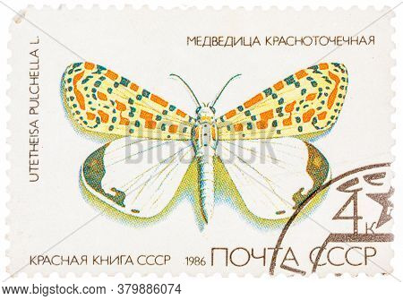 Ussr - Circa 1986: A Stamp Printed In Ussr, Shows Butterfly Utetheisa Pretty Utetheisa Pulchella , F
