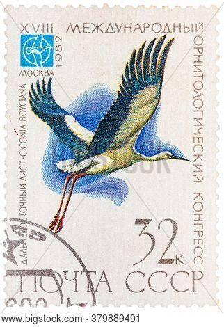 Ussr - Circa 1982: A Stamp Printed In Ussr Russia Shows A Bird Ciconia Boyciana With The Inscription