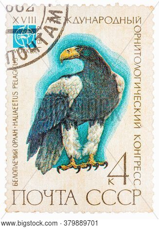 Ussr - Circa 1982: A Stamp Printed In Ussr Russia Shows A Bird Haliaeetus Pelagitus With The Inscrip
