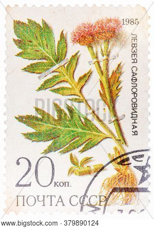 Ussr - Circa 1985: A Stamp From Ussr, Shows Medicinal Plant From Siberia, Circa 1985