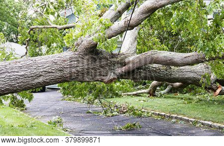 A Tree Fell Over A Residential Driveway And Is Balancing On The Electric Wires With Cable And Phone 