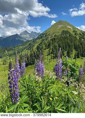 Summer Scenery Near The Krahbergzinken Mountain, Austria. Krahbergzinken Is A Mountain Situated West