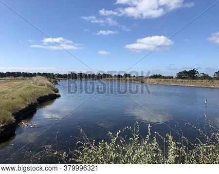 Salt Marshes Near The Town Of Couarde-sur-mer, Ile-de-re