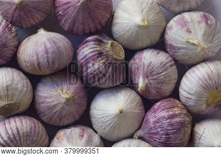 Fresh Solo Garlic Bulbs Which Are Used For Cooking. They Are Grown In Asia