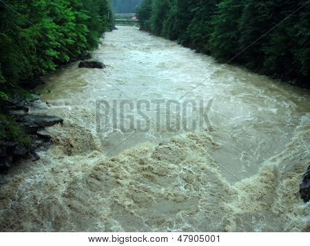 the river in Carpathians