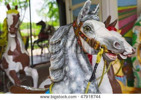 Carousel Horse