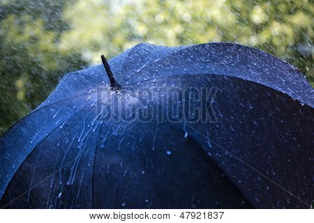 หยดฝนที่ตกในร่ม