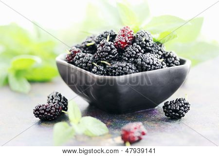 Šťavnaté Mulberry na černý plát