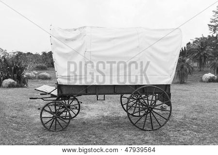 Black & White Covered Wagon