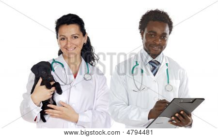 Couple Of Veterinary
