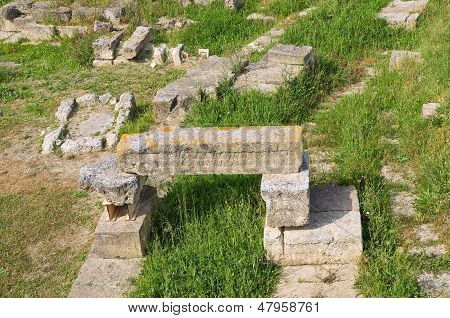 Parco archeologico di Metaponto. Basilicata. Italia meridionale.