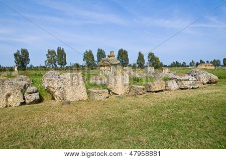 Parco archeologico di Metaponto. Basilicata. Italia meridionale.