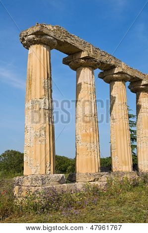 Tavole Palatine af Metaponto. Basilicata. Det sydlige Italien.