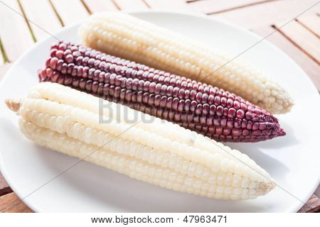 Organiczne całe ziarna z kolby gotowanej kukurydzy