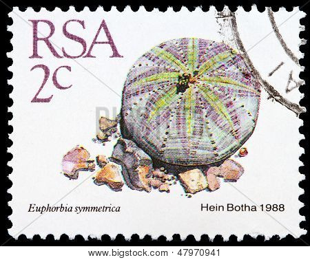 Bogføre stempel fra den sydafrikanske Republik