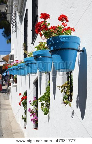 Flores en maceta de pared