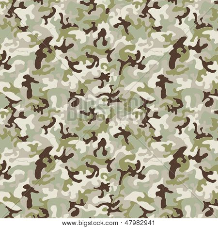 Modello militare